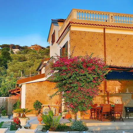 - Tina Sant'Agnello